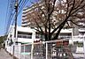 周辺：鎌倉みどり保育園 1817m