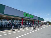 コープ武蔵藤沢店 1165m