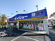 デイリーケアセイジョー狭山台店 802m