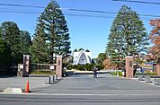 立教大学 800m