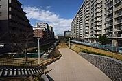 親水公園 50m