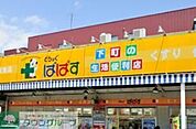 どらっぐぱぱす青戸店 徒歩4分。 250m