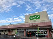 コープみらいコープ花畑店 徒歩5分 400m