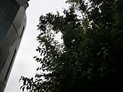 ★バルコニーからの景色です★