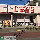 ファッションセンターしまむら中藤店 徒歩7分。ショッピングセンター 500m