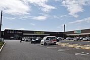 いなげや小平小川橋店 224m