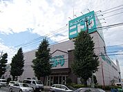 ニトリ 90m