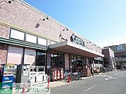 さえき是政食品館 徒歩12分。スーパー 930m