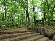 東大和芋窪緑地 636m