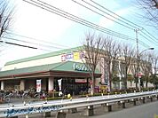 大丸ピーコック 500m