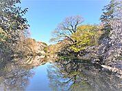 ★井の頭恩賜公園まで400ｍ★
