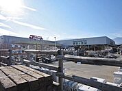 綿半スーパーセンター 八田店　徒歩14分