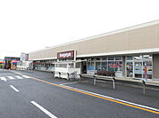 いなげや佐倉店まで500ｍ