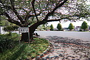 椿森公園まで350ｍ
