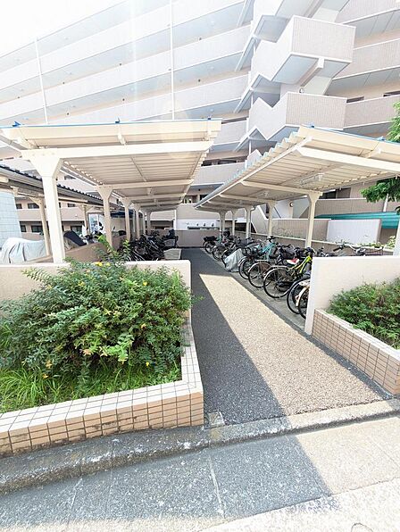 駐輪場です!屋根付きなので多少の雨はしのげそう!