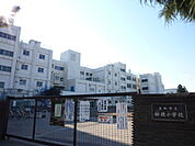 大和市立柳橋小学校まで950ｍ
