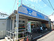 やまか本鵠沼店まで800ｍ
