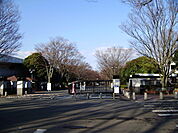 東海大学湘南キャンパス　1400ｍ
