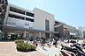 周辺：アピタ横浜綱島店まで1500ｍ