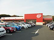 ロピア港北インター店まで550ｍ