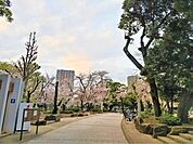調（つきのみや）公園まで72ｍ