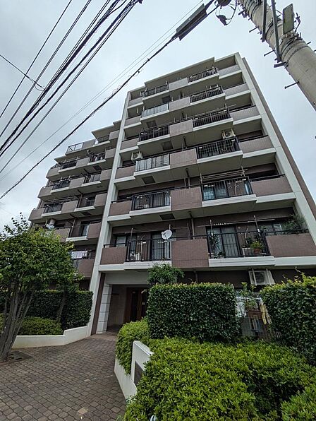2026年8月撮影