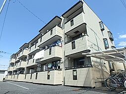 ヴァンベール小島