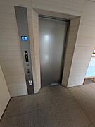 2026年3月撮影