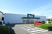 セリア 桶川坂田店まで50ｍ