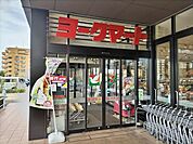 ヨークマート　ハレノテラス東大宮店まで800m