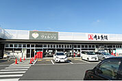 角上魚類 高崎店350m