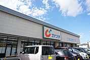ドラッグストア