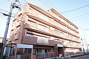 2026年3月撮影