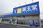 ドラッグストア