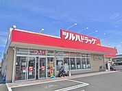 ツルハドラッグ岩沼中央店/350m