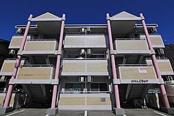 伊予鉄道横河原線 石手川公園駅 徒歩20分の賃貸マンション