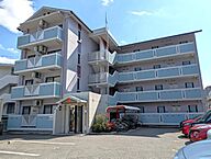 愛媛県松山市清水町4丁目4-6：物件画像／株式会社ハウスメイトショップ 松山城南店