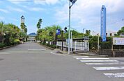 大学