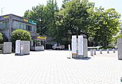 大学