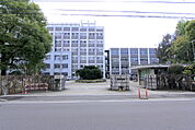 大学