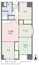 道後プラム,ヒルズ 4LDKの間取図画像
