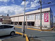 ドラッグストアコスモス 上津バイパス店まで400ｍ