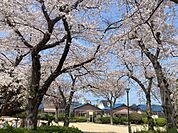 赤坂桜城公園まで130m