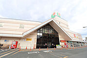 マルショク富野店まで800ｍ