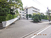 平塚市立花水小学校300ｍ