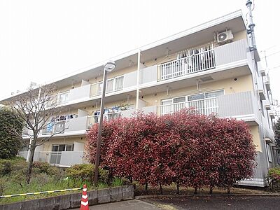 外観：南向き日当たり良好なＲＣ造マンションです！