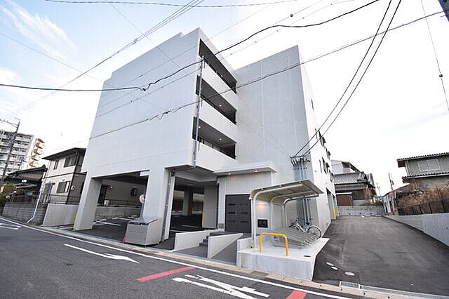 3 / 31