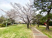 美浜公園（359m）