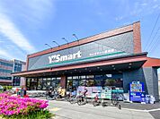 ワイズマート高洲店（220m）
