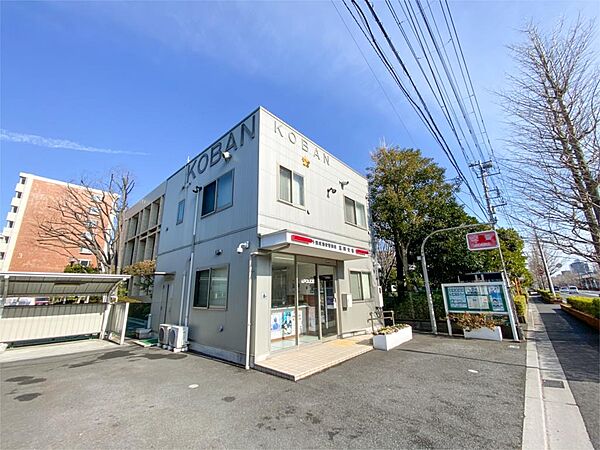 周辺を拡大表示